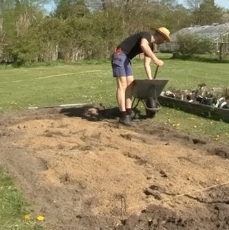 Stauder Jorden i bedet gjøres klar Stauder Jorden i bedet gjøres klar